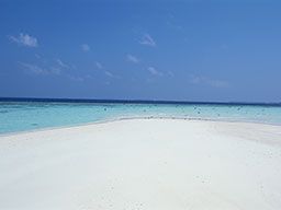 おさないクリニック 泌尿器科・内科 おさないクリニック 泌尿器科・内科