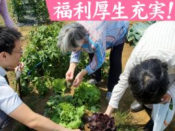 社会福祉法人 東京さくら福祉会 社会福祉法人 東京さくら福祉会