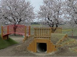 学校法人石川学園 認定こども園アルス南幼稚園 学校法人石川学園 認定こども園アルス南幼稚園