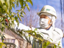大橋庭園株式会社 大橋庭園株式会社