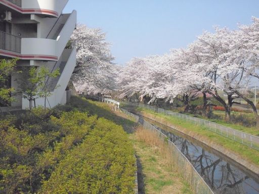 特別養護老人ホーム あすなろの郷浦和 特別養護老人ホーム あすなろの郷浦和