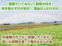 株式会社 切替農園 株式会社 切替農園