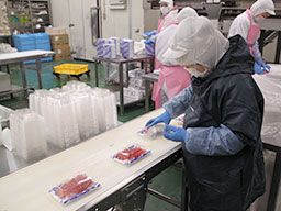 株式会社 エスケーフーズ 株式会社 エスケーフーズ