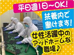 下田商事(株) 岩槻工場 下田商事(株) 岩槻工場