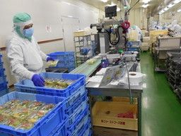 株式会社 ファーストフーズ 武蔵工場 株式会社 ファーストフーズ 武蔵工場