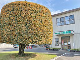 三和食鶏グループ 株式会社 三和食鶏(サンワショクケイ) 三和食鶏グループ 株式会社 三和食鶏(サンワショクケイ)