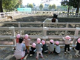 社会福祉法人 松葉の園 松葉保育園 社会福祉法人 松葉の園 松葉保育園