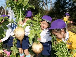 学校法人 岐山学園 布佐台幼稚園 学校法人 岐山学園 布佐台幼稚園