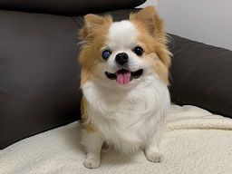 株式会社ウインカンパニー 株式会社ウインカンパニー