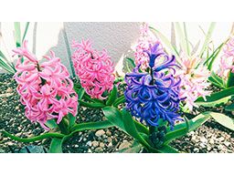 株式会社 勇志(イサミ)
