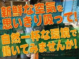 有限会社リッツ・ワールド 有限会社リッツ・ワールド