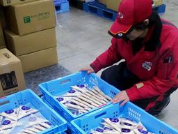 SBSゼンツウ株式会社 川口センタ―支店 SBSゼンツウ株式会社 川口センタ―支店