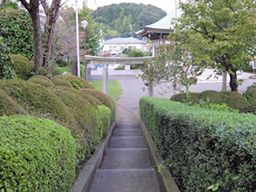 有限会社 成瀬杉井植木 有限会社 成瀬杉井植木