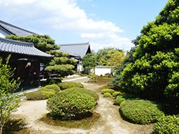 有限会社 成瀬杉井植木