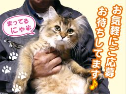 株式会社 アイリブ 株式会社 アイリブ