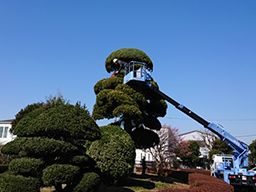 株式会社 成三 株式会社 成三