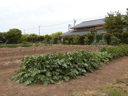 社会福祉法人 大樹会 こむろん家 社会福祉法人 大樹会 こむろん家