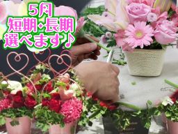 川崎花卉園芸株式会社 南部市場 川崎花卉園芸株式会社 南部市場