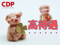 シーデーピージャパン株式会社/senN-041-23 シーデーピージャパン株式会社/senN-041-23