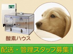 エクセル株式会社 <テルコム(株)正規代理店> エクセル株式会社 <テルコム(株)正規代理店>