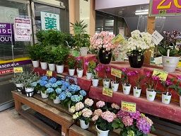 エスポット韮山店 エスポット韮山店