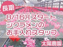 太陽農園 太陽農園