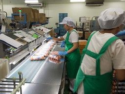 株式会社 肥後ポートリー 株式会社 肥後ポートリー