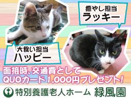 特別養護老人ホーム 緑風園 特別養護老人ホーム 緑風園