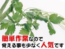 システム園芸 システム園芸