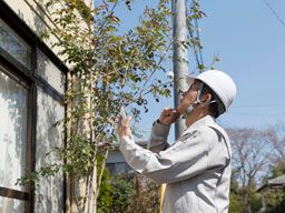 株式会社 グラシア 株式会社 グラシア
