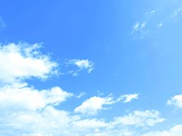 神鋼不動産ジークレフサービス株式会社 神鋼不動産ジークレフサービス株式会社