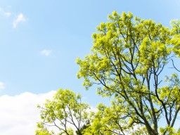 医療法人社団 佑樹会 介護老人保健施設 あゆみの里