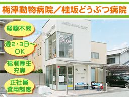 有限会社 梅津動物病院 有限会社 梅津動物病院