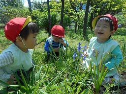 たんぽぽ保育園 たんぽぽ保育園