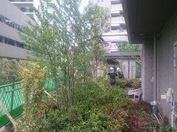株式会社 荒木造園 株式会社 荒木造園