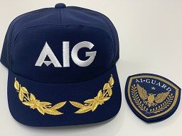 株式会社 AIG アイガード 株式会社 AIG アイガード