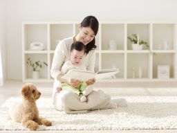 株式会社プロキャリー 株式会社プロキャリー
