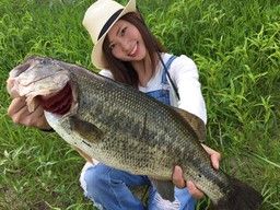 株式会社 タカミヤ 株式会社 タカミヤ