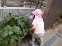 彩の実保育園 彩の実保育園