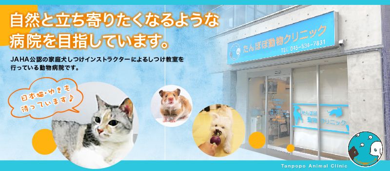 たんぽぽ動物クリニック たんぽぽ動物クリニック