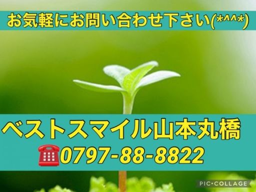 株式会社Act‘s Design ベストスマイル山本丸橋 株式会社Act‘s Design ベストスマイル山本丸橋