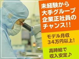古河電工ビジネス&ライフサポート株式会社 古河電工ビジネス&ライフサポート株式会社