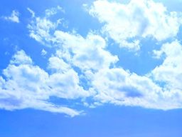 株式会社 三勇運送 株式会社 三勇運送