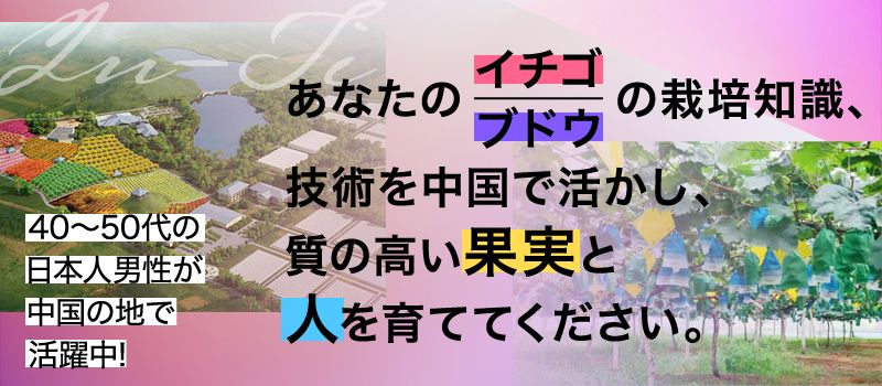 イン・ティー 株式会社 イン・ティー 株式会社