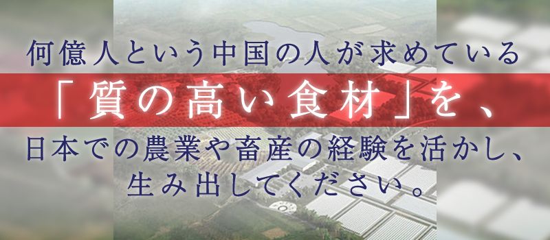 イン・ティー 株式会社 イン・ティー 株式会社
