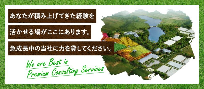 イン・ティー 株式会社 イン・ティー 株式会社