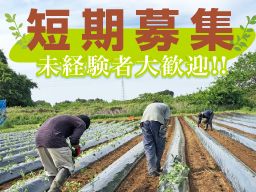 農事組合法人 マルツボ 農事組合法人 マルツボ