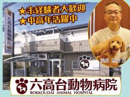 六高台動物病院 六高台動物病院