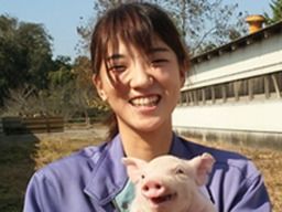 豊橋飼料 株式会社 種豚センター 豊橋飼料 株式会社 種豚センター