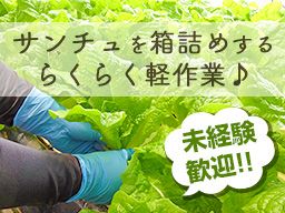加瀬水耕菜園 加瀬水耕菜園